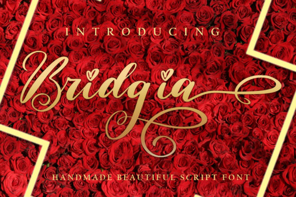 Bridgia: A Font That Elevates Design with Elegance and Flow