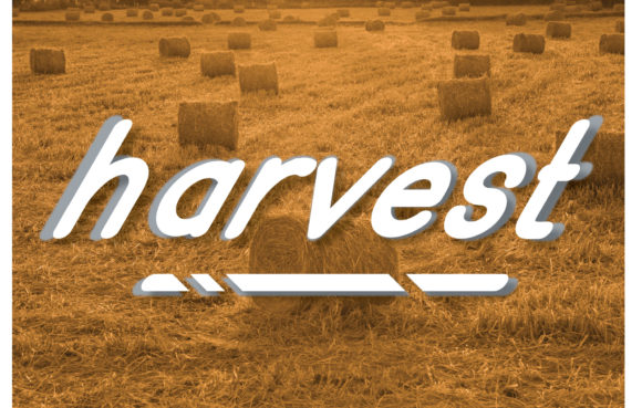 Harvest Font: A Simple, Italic, Sans Serif Choice for Designers