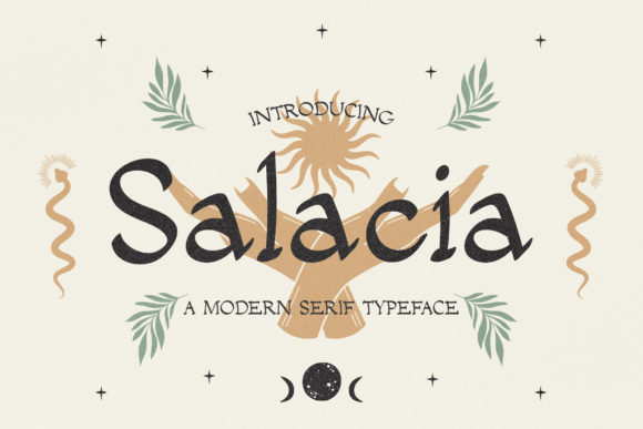 Salacia: A Modern Serif Font That Elevates Design Across Industries