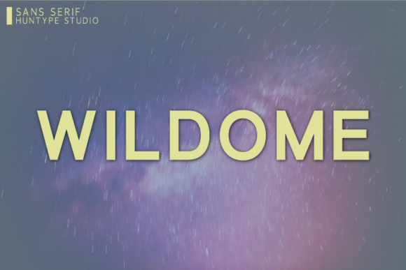 Wildome: A Bold and Simple Sans Serif Font for Modern Design